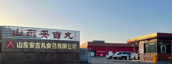 6.JPG